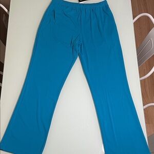 Antthony Vibrant Teal Pants